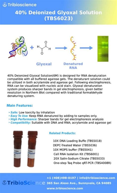 X Dna Loading Dye Recipe Deporecipe Co