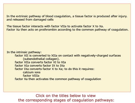 Blood Laboratory Hemostasis Pt And Ptt Tests