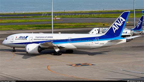 JA812A All Nippon Airways Boeing 787 8 Dreamliner Photo By OMGcat ID