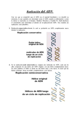 Replicaci N Del Adn Pdf