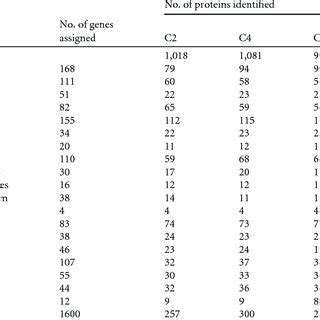 Summary Of The C Tyrobutyricum Shotgun Proteomics A Batch