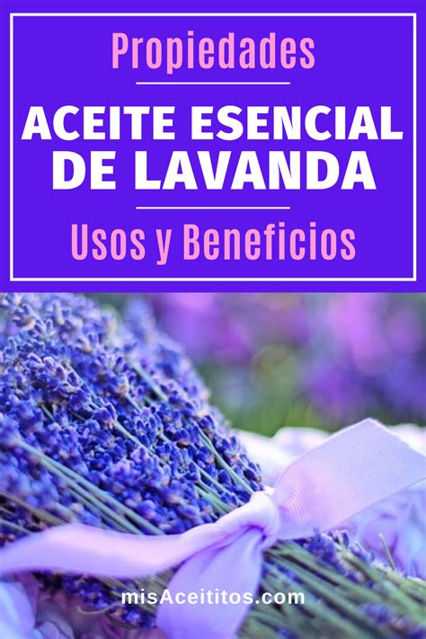 Aceite De Lavanda Propiedades Beneficios Y Usos Mis Aceititos