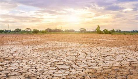 Fakta Fenomena El Nino Berlangsung Hingga Penghujung Okezone