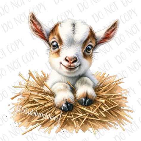 Cute Farm Baby PNG, Goat PNG, Baby Goat Sublimation Digital Download ...