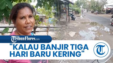 Hujan Guyur Maumere Rumah Warga Di Kota Uneng Tergenang Banjir Tiga