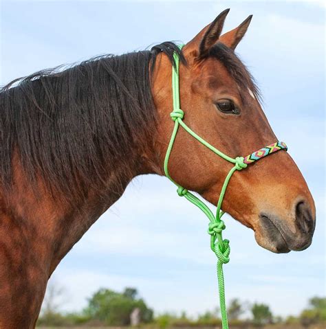 Beaded Rope Halter Cashel Halters Halters Leads Supplies Tack