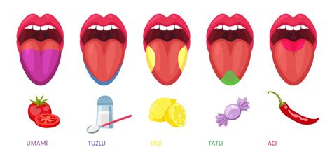 Qué es Umami En qué alimentos se encuentra Cuál es la diferencia