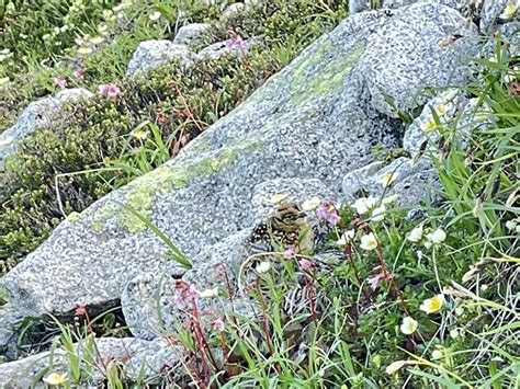 行ってみよう～！！ 信州みやだ観光ガイド 長野県宮田村・木曽駒ヶ岳の観光情報サイト