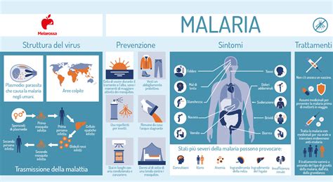 Malaria cosè cause contagio diagnosi sintomi terapia e prevenzione