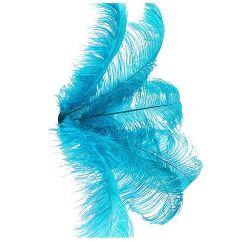 X Pcs Natural Ostrich Feathers Wedding Party Decoration Lake