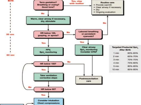 Neonatal Resuscitation Program – An Overview