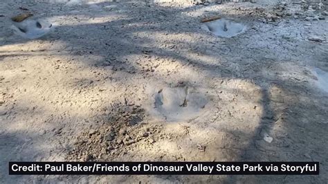 Dinosaur Tracks Texas Dinosaur Tracks Uncovered In Dried Up Texas Riverbed