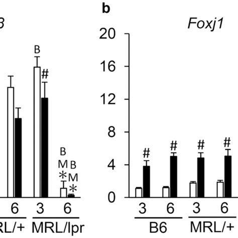 Expression Levels Of Pax8 A And Foxj1 B In The Oviduct Data Are