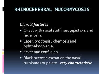 Mucormycosis PPT