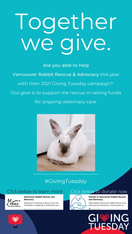 VRRA News Vancouver Rabbit Rescue Advocacy