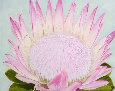 King Protea Painting By Maryna Moolman Pixels