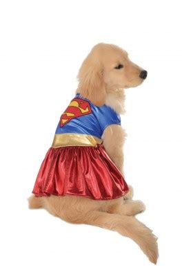 Superhero Costumes for Your Dog | WebNuggetz.com