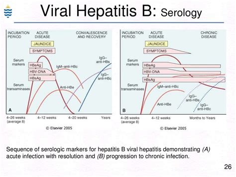 Ppt Pathology Of Hepatitis Lecture Powerpoint Presentation Free Download Id 8201923