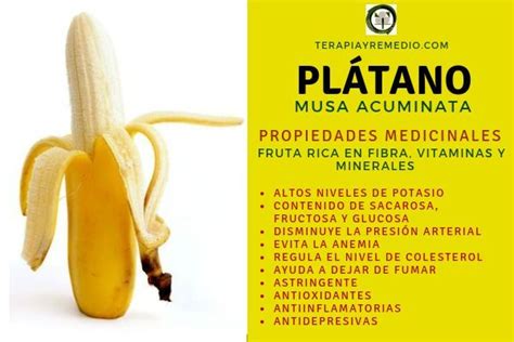 Terapia Y Remedio Propiedades Y Beneficios Del Platano Platano Beneficios Propiedades Del