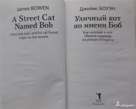 Уличный Кот По Имени Боб Читать Книгу Книгу Книга - movieutorrent