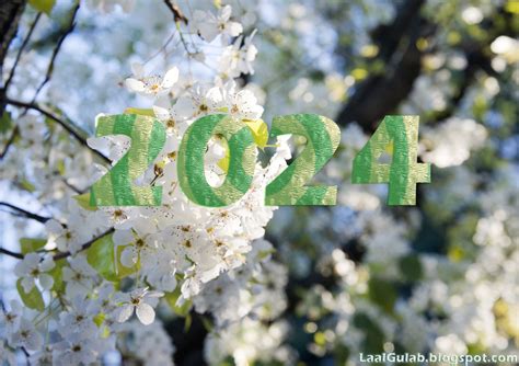 Happy New Year 2024 Wallpapers HD Images 2024 Happy New Year 2024 ...