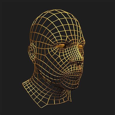 Human Face Wireframe Geometry 3D model | CGTrader