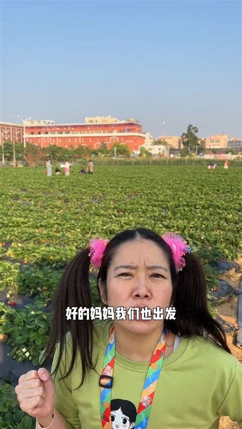 不凡事都需要争输赢的，你们觉得呢？育家庭婚姻我林呱呱腾讯视频