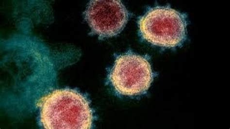 Coronavirus In Germania A Gennaio Il Primo Contagiato Europeo Da Lui