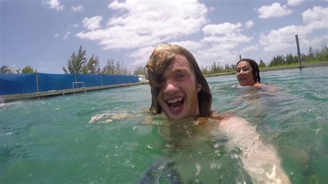 Bahama Adventure Day Two Swimming With Dolphins Youtube