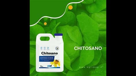 Chitosano In Agricoltura Le Nuove Sperimentazioni Youtube