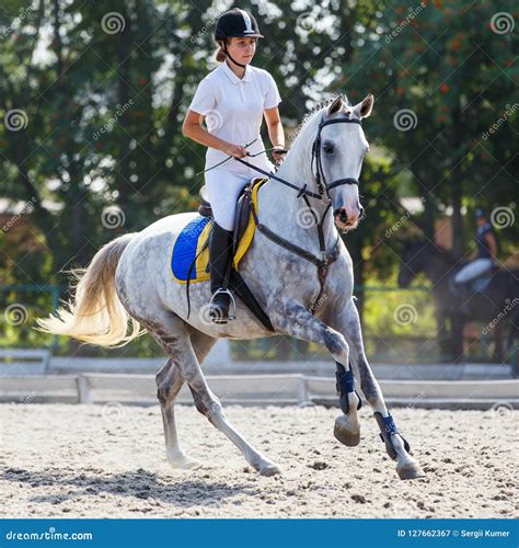 Young Horse Rider Girl Galloping On Her Course Stock Image Image Of