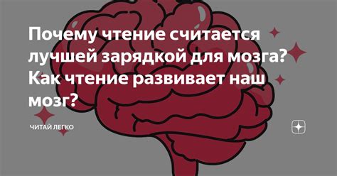 Почему чтение считается лучшей зарядкой для мозга? Как чтение развивает ...