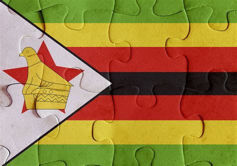 Zim has gone to the dogs - Zimbabwe Situation