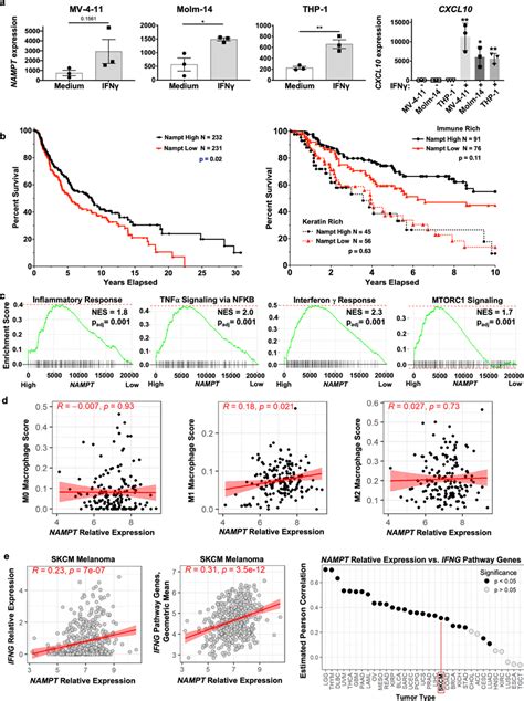 Correlation Between Human Immune NAMPT Malignancy Inflammation And