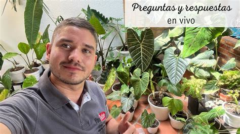 C Sar Correa Amantes De Las Plantas Est Realizando Una Transmisi N