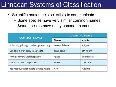 Linnaean Taxonomy Chart