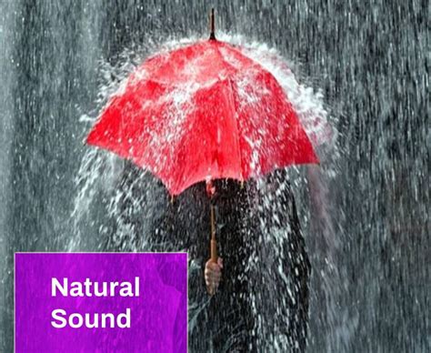 Sound Rain Download : Just because it's raining, that doesn't ...