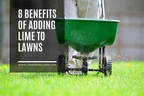 8 Benefits of Adding Lime to Your Lawn (Does it Really Work ...