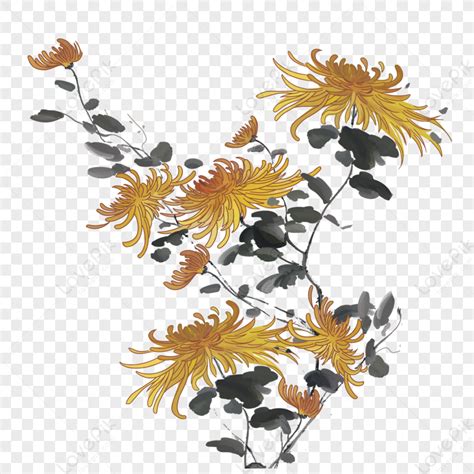 Ink Chrysanthemum Double Ninth Festival Festivals Twenty Four Solar