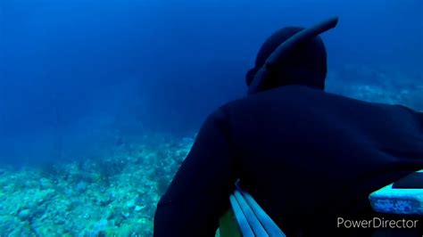 Sibutu Islandtawi Tawiphils Spearfishing Maori Perch Video