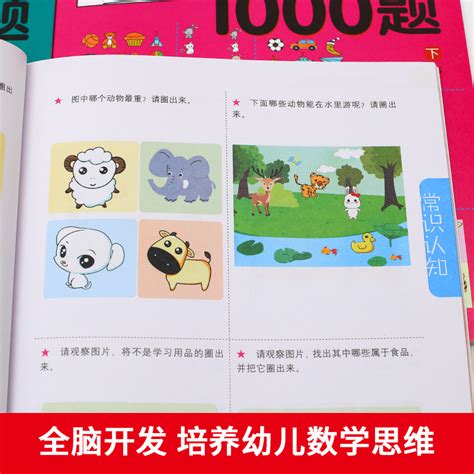 【官方正版】全脑开发700题1000题思维训练3 4周岁5 6岁幼儿思维逻辑训练书儿童益智书籍左右脑智力开发幼儿园宝宝启蒙早教szp 虎窝淘