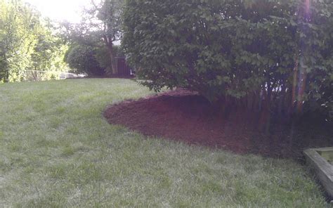 mulch-install ⋆