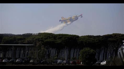 Incendio A Fiumicino La Forestale Forse Doloso Caos In Aeroporto