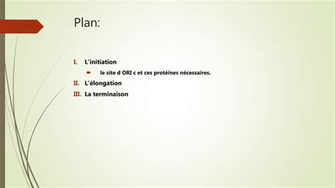 La réplication dADN chez les procaryotes PPT