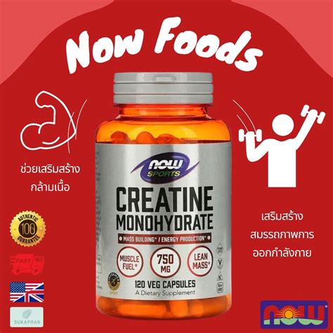 พร้อมส่ง Now Foods Sports Creatine Monohydrate 750 Mg 120 Veg Capsules ครีเอทีน Shopee Thailand