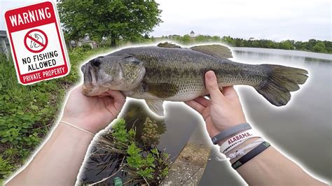 Fishing Private Ponds For Big Bass Pond Hopping Pt Youtube