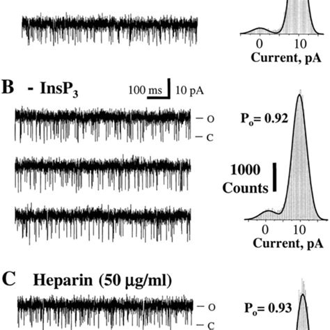 Single Channel Currents Through The Pore Formed By The Insp R