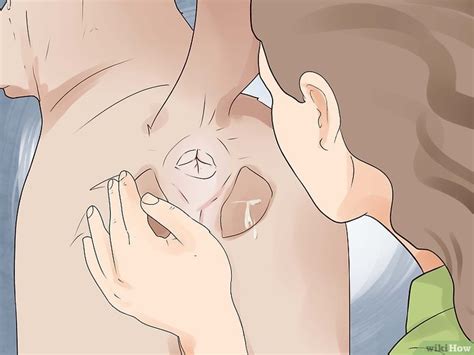 Cómo exprimir la glándula anal de un perro pasos