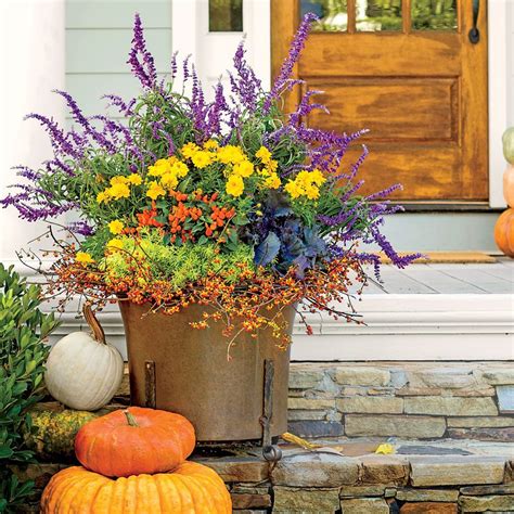 Choosing Plants For Fall Colorful Garden