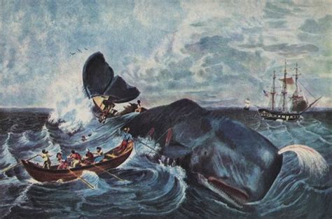 History Of The 19th Century Whaling Industry